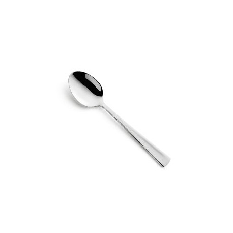 Ferrum coffee spoon So/607cs-1213